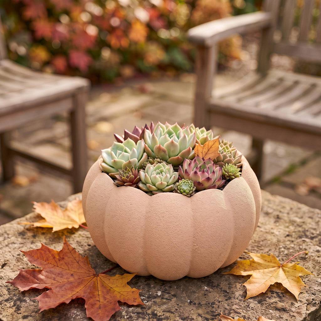 3D Printed Pumpkin Planter, Autumn Succulent Pot, Harvest Decor (Made in Malta)