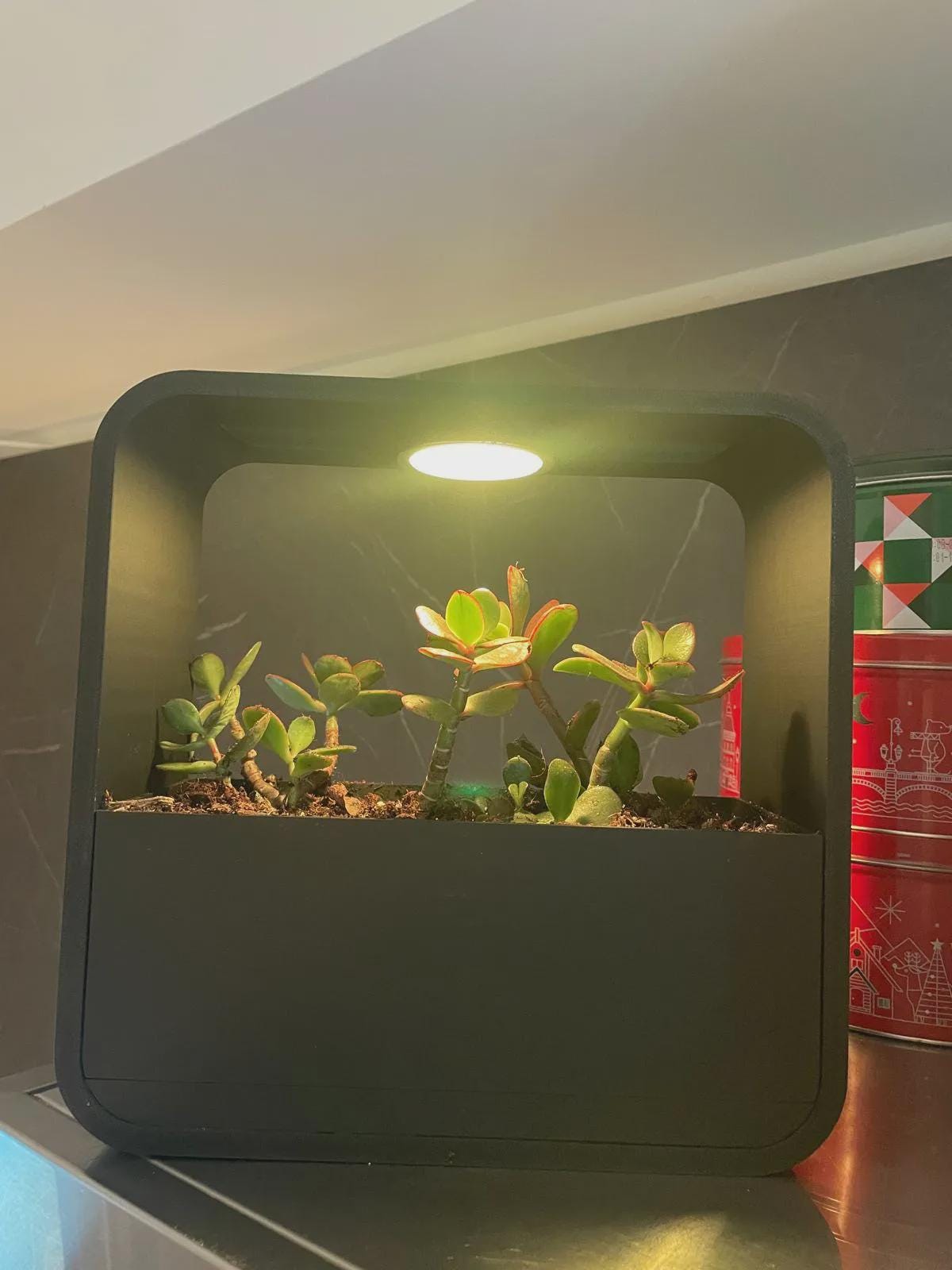 LED Rain Planter, Indoor Herb Garden with Grow Light, Modern Kitchen Countertop Display