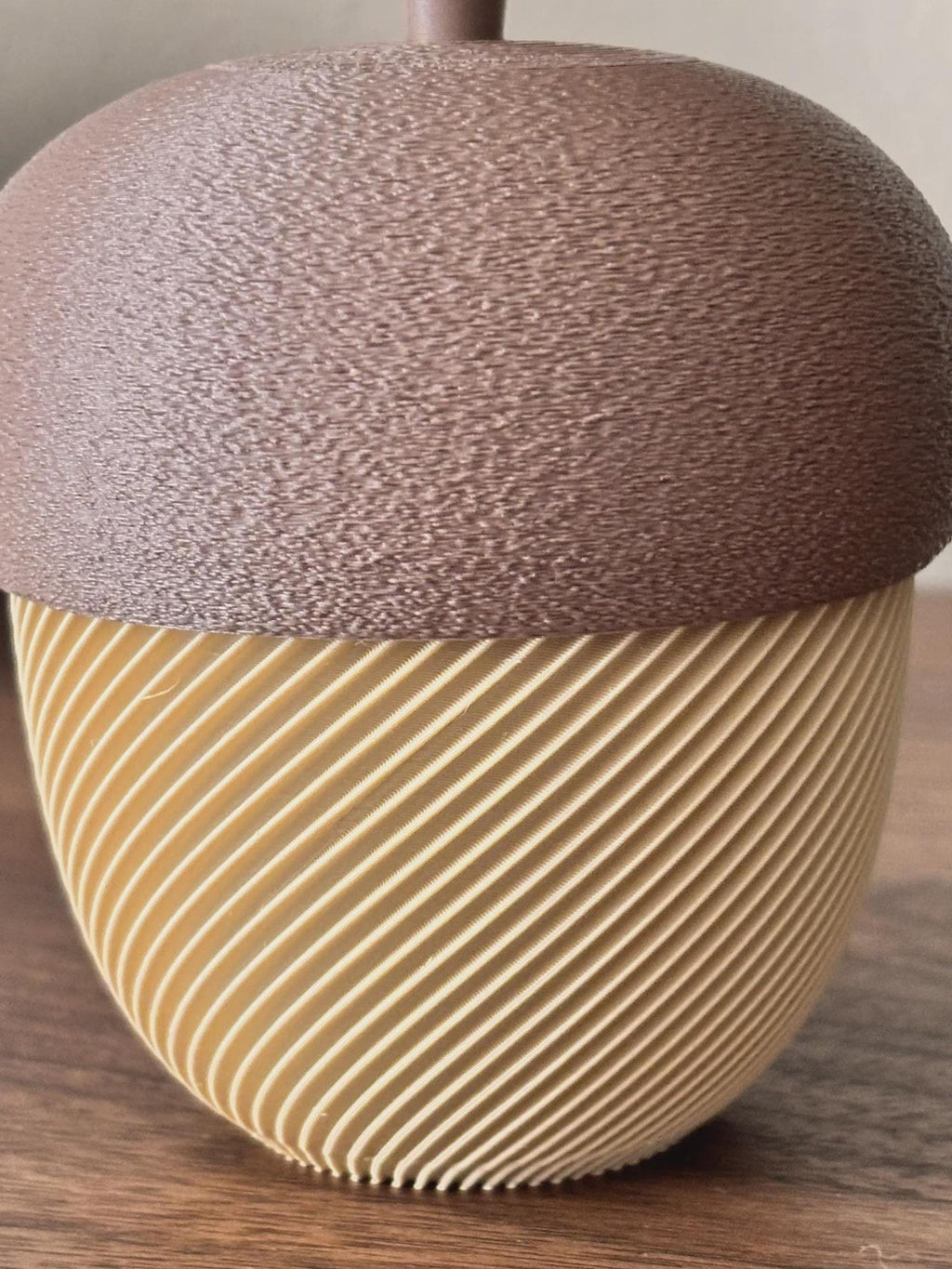 3D Printed Acorn Trinket Box, Spiral Ribbed Autumn Storage Jar (80x100mm)