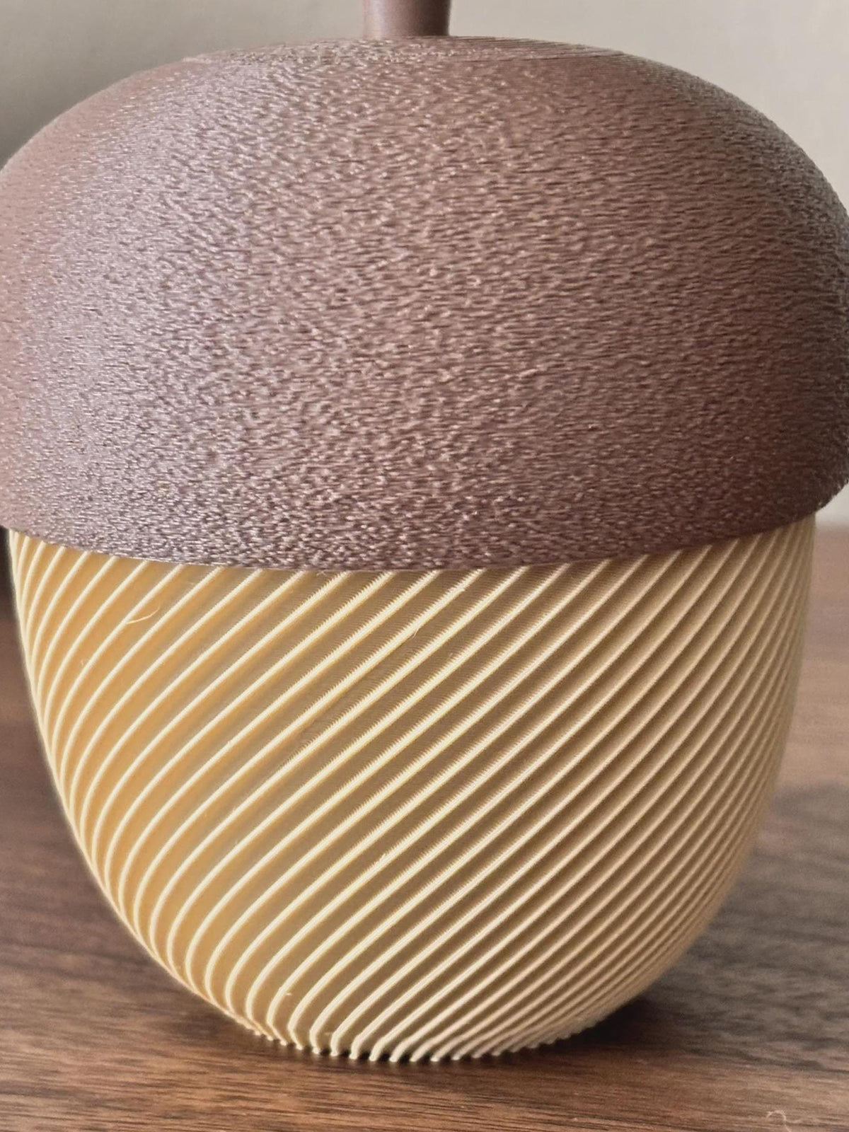 3D Printed Acorn Trinket Box, Spiral Ribbed Autumn Storage Jar (80x100mm)