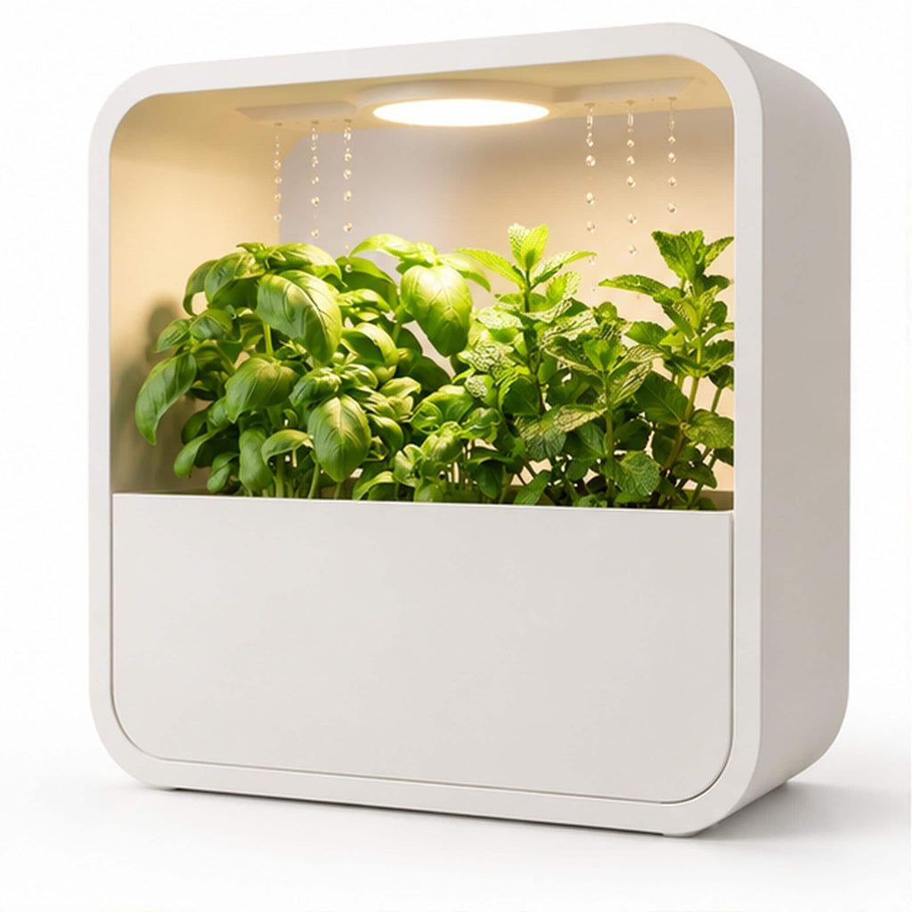 LED Rain Planter, Indoor Herb Garden with Grow Light, Modern Kitchen Countertop Display