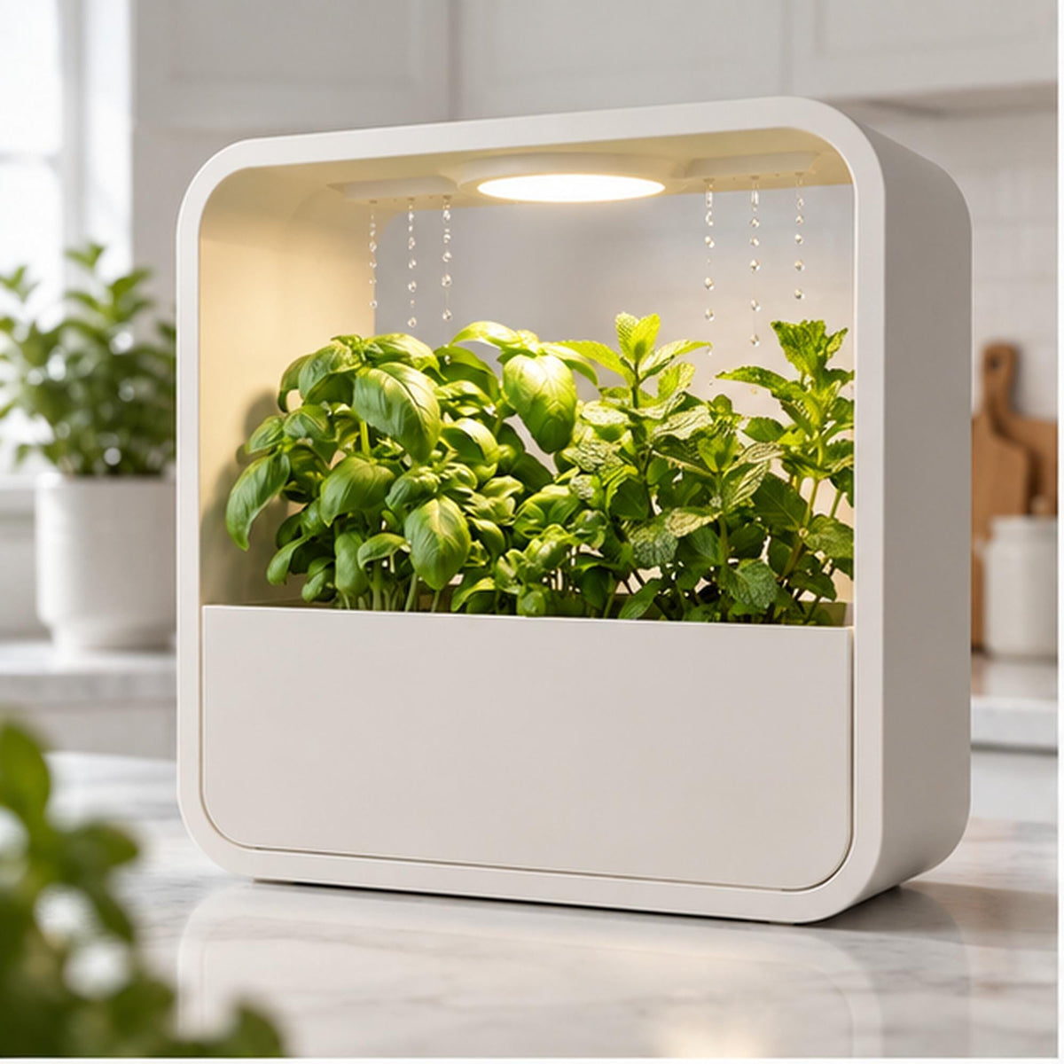LED Rain Planter, Indoor Herb Garden with Grow Light, Modern Kitchen Countertop Display