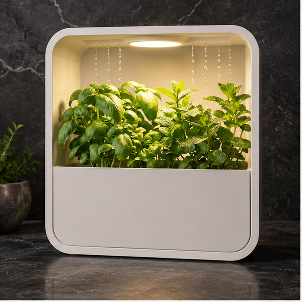 LED Rain Planter, Indoor Herb Garden with Grow Light, Modern Kitchen Countertop Display