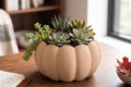 3D Printed Pumpkin Planter, Autumn Succulent Pot, Harvest Decor (Made in Malta)