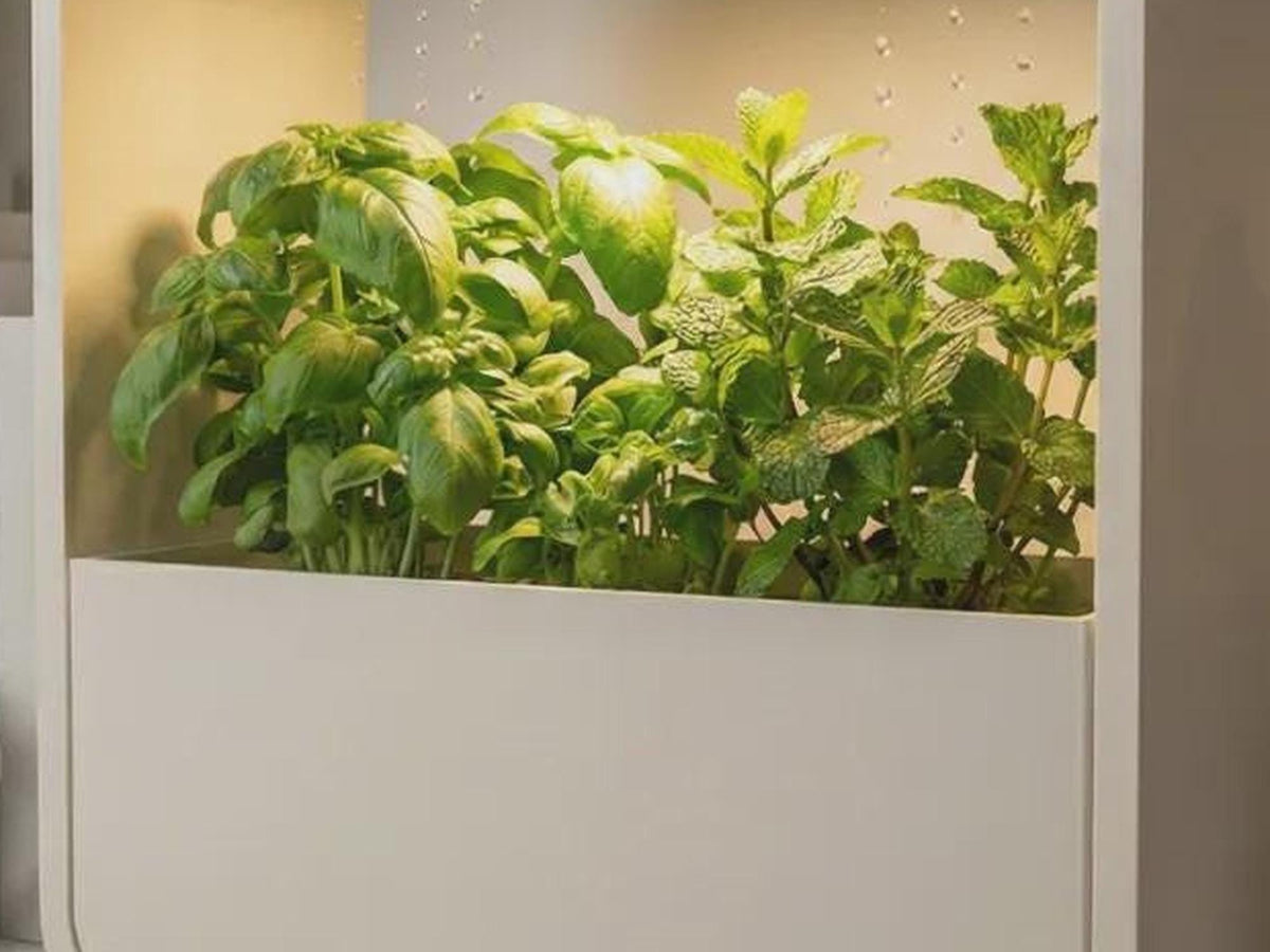 LED Rain Planter, Indoor Herb Garden with Grow Light, Modern Kitchen Countertop Display
